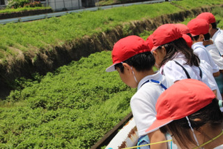 Img_9981 Img_9981